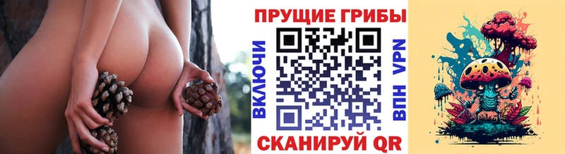 Галлюциногенные грибы прущие грибы  Таштагол 