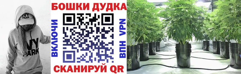 это телеграм  Таштагол  МАРИХУАНА AK-47 